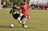 Zagłębie Sosnowiec - SC Znojmo 27.01.2019
