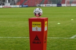 Puszcza Niepołomice - Zagłębie Sosnowiec (galeria2)