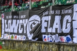 Zagłębie Sosnowiec - Arka Gdynia (galeria2)