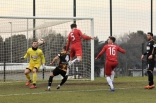 Zagłębie Sosnowiec - SC Znojmo 27.01.2019