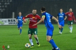 Zagłębie Sosnowiec - Puszcza Niepołomice (galeria2)