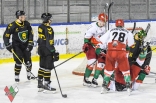Hokej: Play-Off Zagłębie Sosnowiec - GKS Katowice