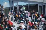 	Zagłębie Sosnowiec - Skra Częstochowa cz. II