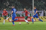 Zagłębie Sosnowiec - Puszcza Niepołomice