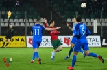 Zagłębie Sosnowiec - Puszcza Niepołomice (galeria2)