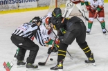 Hokej: Play-Off Zagłębie Sosnowiec - GKS Katowice
