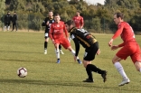 Zagłębie Sosnowiec - SC Znojmo 27.01.2019