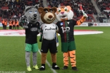 Zagłębie Sosnowiec - Olimpia Elbląg