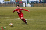 Sparing: Zagłębie Sosnowiec - Odra Opole (galeria2)
