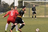 Zagłębie Sosnowiec - SC Znojmo 27.01.2019