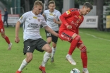 Puszcza Niepołomice - Zagłębie Sosnowiec (galeria2)