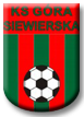 KS Góra Siewierska