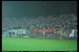 Zagłębie Sosnowiec - Pogoñ Szczecin