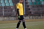 Zagłębie Sosnowiec - Górnik Łęczna