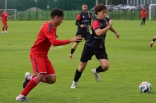 Sparing: Zagłębie Sosnowiec - Sarmacja Będzin