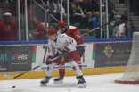 Hokej: Zagłębie Sosnowiec - Cracovia