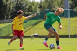 Sparing: Zagłębie Sosnowiec - Ślęza Wrocław