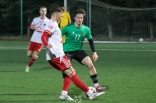 Sparing: Zagłębie Sosnowiec - LZS Starowice Dolne
