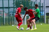 Sparing: Zagłębie II Sosnowiec - Victoria Jaworzno