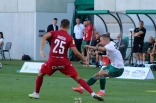 Sparing: Zagłębie Sosnowiec - Wisła Kraków
