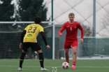 Sparing: Zagłębie Sosnowiec - GKS Jastrzębie