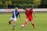 Sparing: Zagłębie Sosnowiec - FK Frydek-Mistek