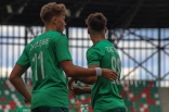 Sparing: Zagłębie Sosnowiec - KKS Kalisz