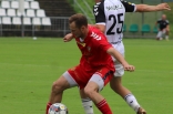 Sparing: Zagłębie Sosnowiec - Sandecja Nowy Sącz
