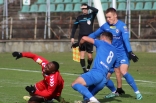 Sparing: Zagłębie Sosnowiec - Puszcza Niepołomice