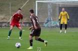Sparing: Zagłębie Sosnowiec - Garbarnia Kraków