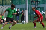Sparing: Zagłębie II Sosnowiec - Victoria Jaworzno