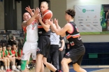 Koszykówka: Zagłębie Sosnowiec - Rysie Sochaczew