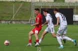 Sparing: Zagłębie Sosnowiec - Podbeskidzie Bielsko-Biała