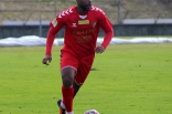 Sparing: Zagłębie Sosnowiec - Puszcza Niepołomice