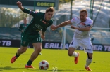 Hutnik Kraków - Zagłębie Sosnowiec