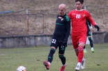 Zagłębie Sosnowiec - Górnik Łęczna