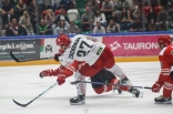 Hokej: Zagłębie Sosnowiec - Cracovia