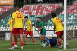 Sparing: Zagłębie Sosnowiec - Ślęza Wrocław