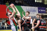 Koszykówka: Zagłębie Sosnowiec - Rysie Sochaczew