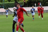 Sparing: Zagłębie Sosnowiec - FK Frydek-Mistek