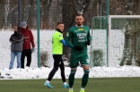 Sparing: Zagłębie Sosnowiec - Puszcza Niepołomice