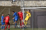 Sparing: Zagłębie Sosnowiec - Puszcza Niepołomice