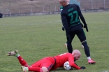 Zagłębie Sosnowiec - Górnik Łęczna
