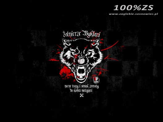 Rozwiązanie konkursu o Żołnierzach Wyklętych