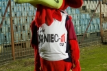 Pogoñ Szczecin - Zagłębie Sosnowiec PP 