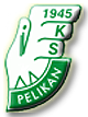 Pelikan Łowicz