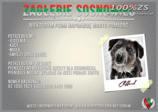 Kibice pomagają psom