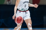 MB Zagłębie Sosnowiec - SBŠ Ostrawa
