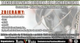 Zbiórka dla schroniska