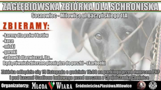 Zbiórka dla schroniska